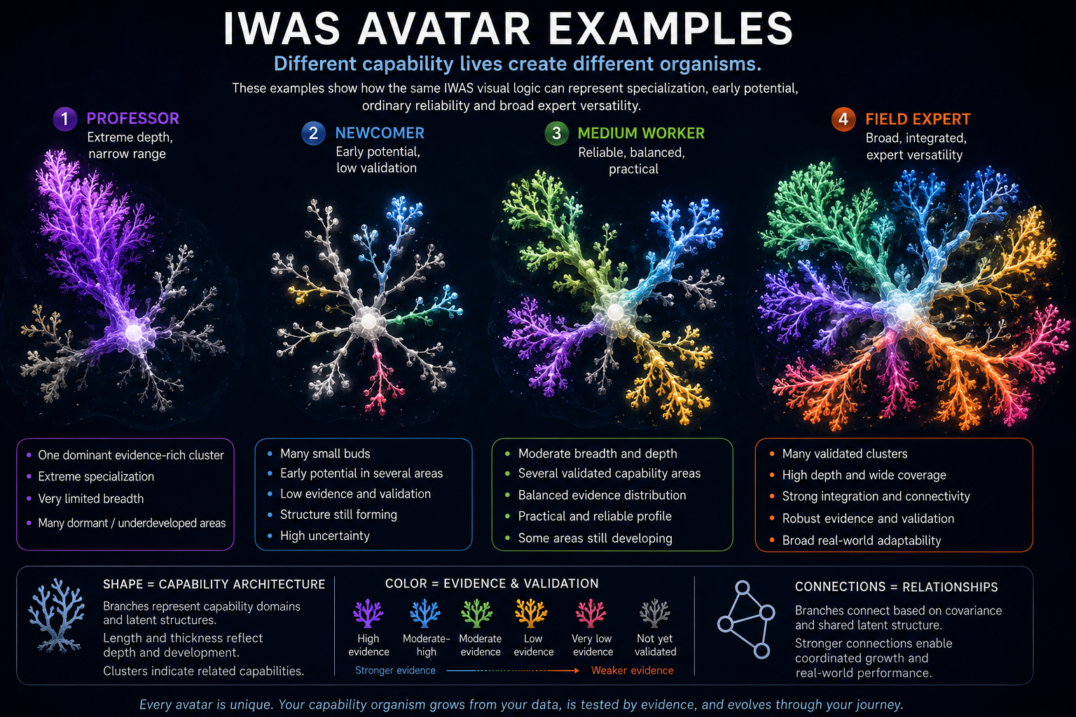 Four IWAS Avatar examples showing professor, newcomer, medium worker and field expert capability morphologies